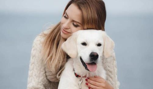 宠物店老板透露, 尽量别对狗狗做这4个动作, 狗狗会更爱你