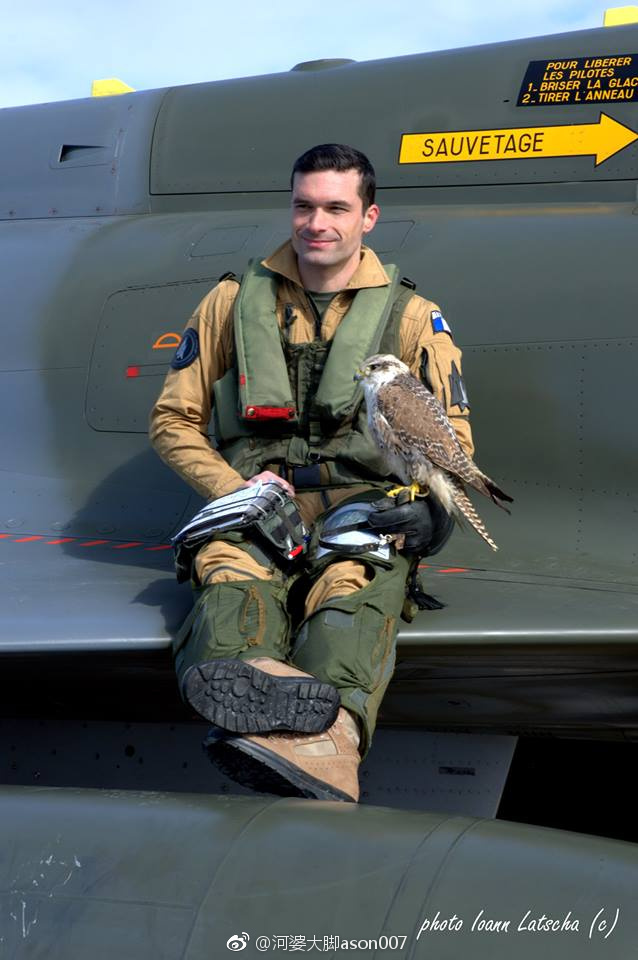 根据传统,法军飞行员在毕业典礼上收到与自己个性特征相符的猛禽.