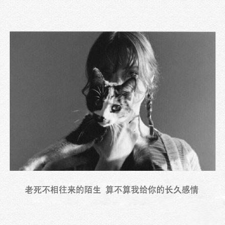 最后的这一点尊严,我决定留给自己