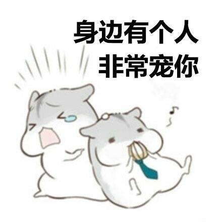 我的确是肥了,然而也并没有宠我的人?