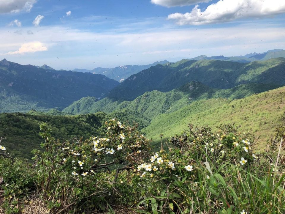 史上最强的西安秦岭分水岭航拍大片,太震撼了!想去吗?