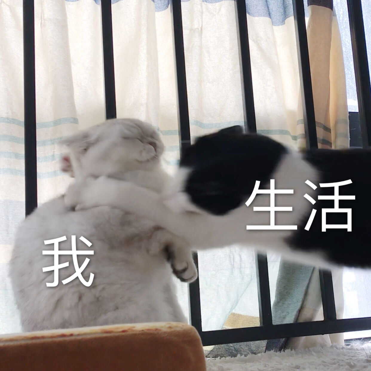 这一天天的,糟心事多得很