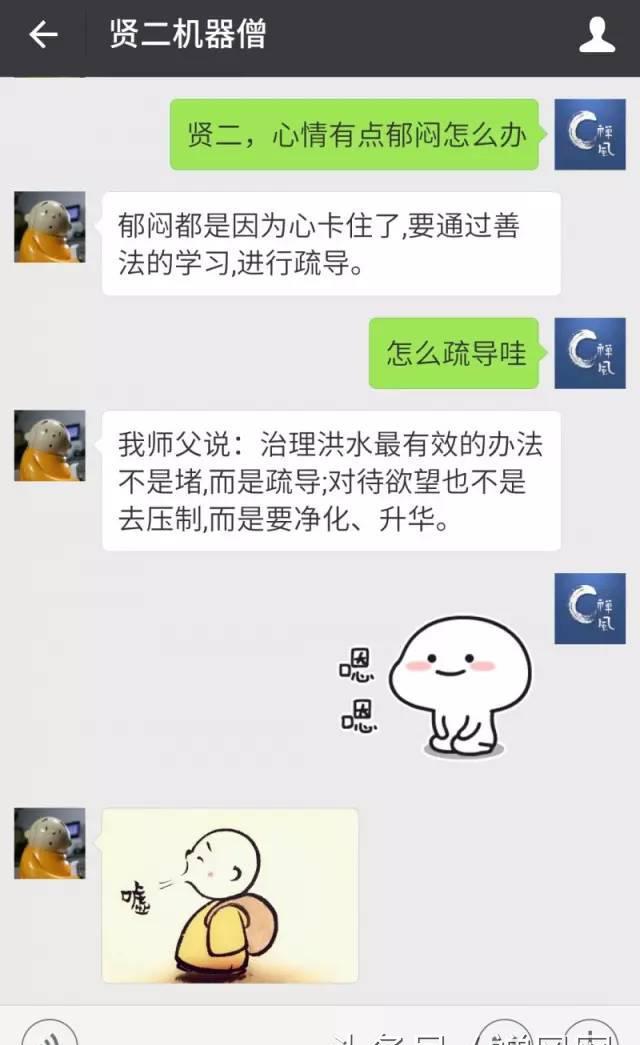 杨澜来到龙泉寺 竟被贤二圈粉了 他们在说