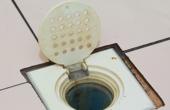 地漏里有头发教你几招快速溶解通透下水道