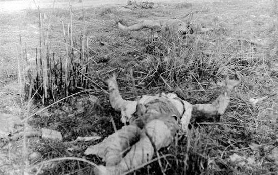 日军女兵战死后被附近农民扒衣, 胸部用白布裹着, 从军目的遭质疑