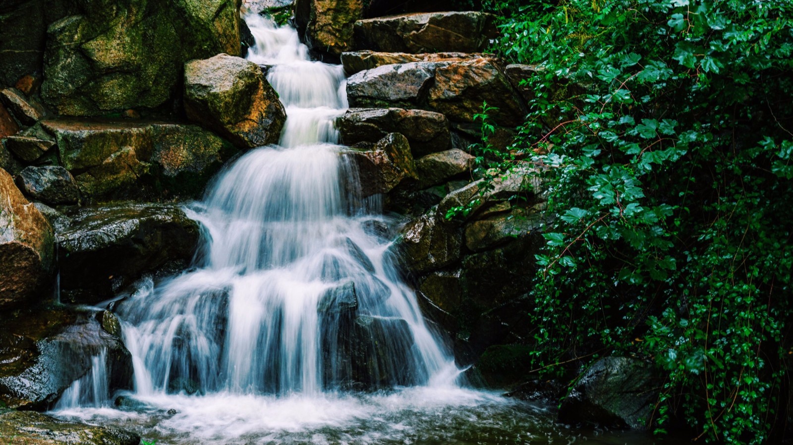为满足游客们的需求,"赏泉溯源"泉水深度游直通车现已开通.