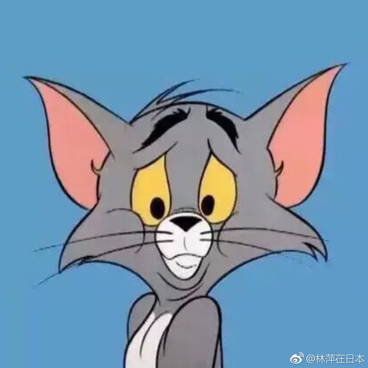 沙雕是快乐的源泉百变星君汤姆猫twiinouetable