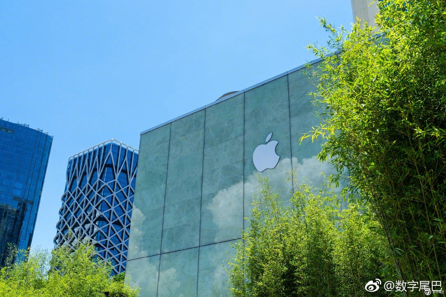 今天正式开业的澳门 apple store 金沙广场店是由英国的知名建筑设计