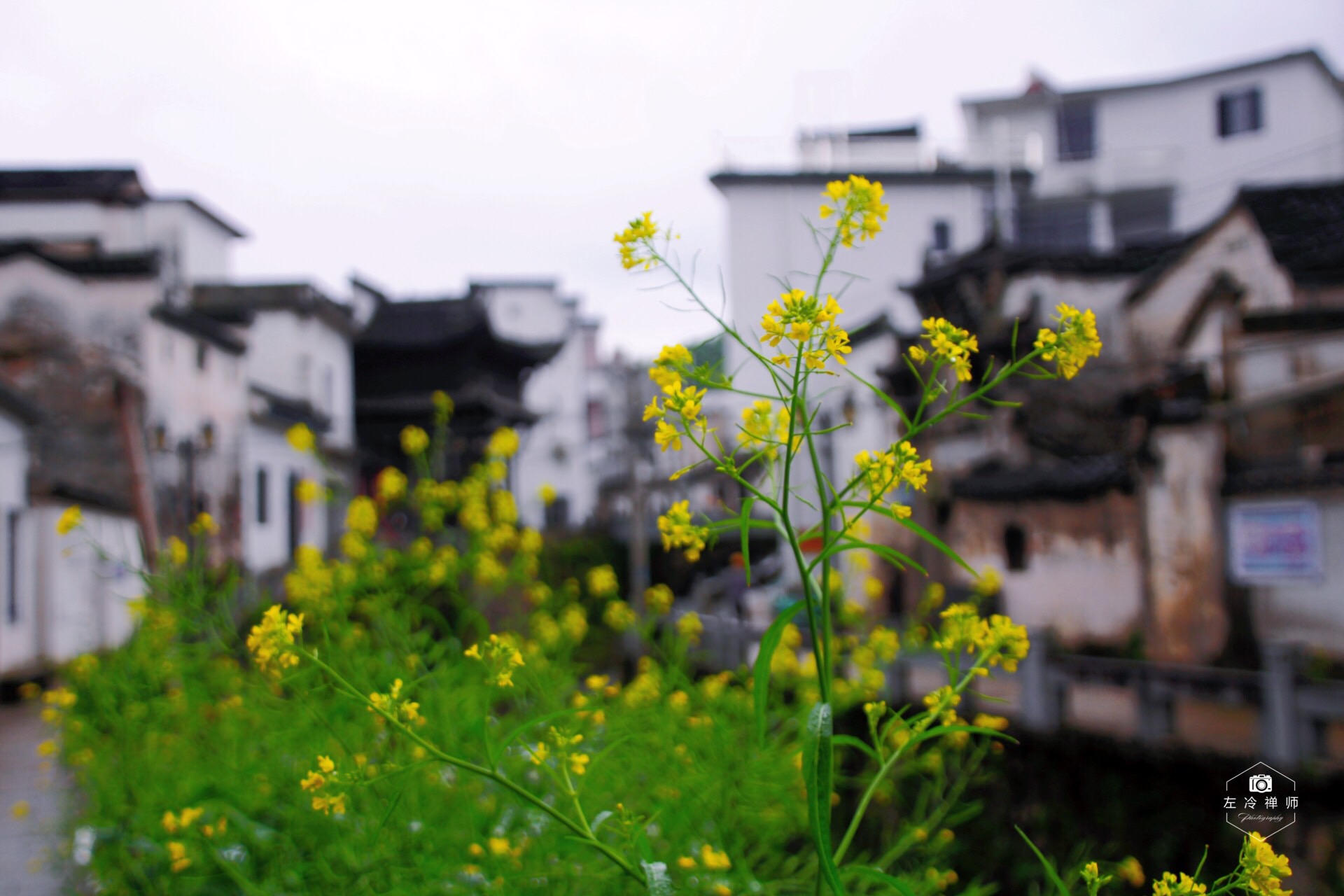 绩溪家朋乡坎头村山环水抱