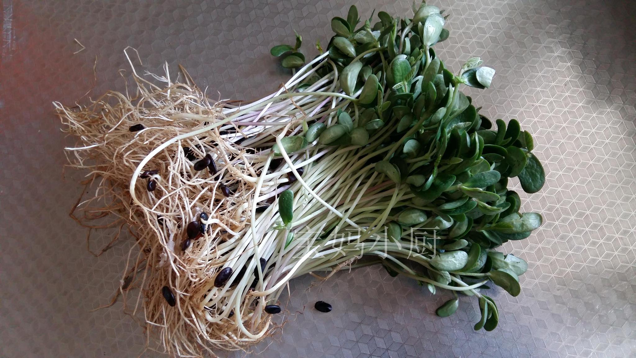 肝好肾好身体壮,女人常吃,小脸最白嫩|食品|黑豆苗|美白_新浪新闻