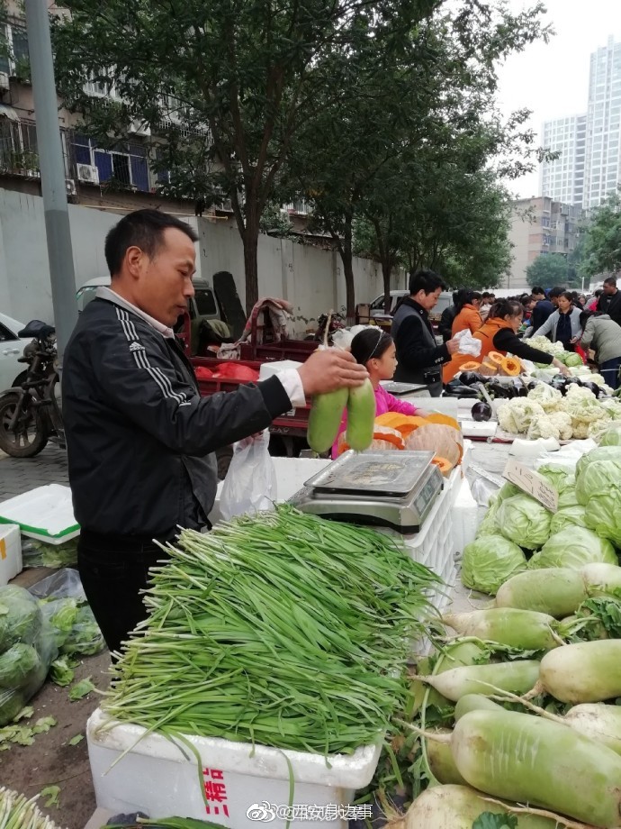 10岁小女孩早市上卖菜:爸爸很辛苦 我想帮帮他