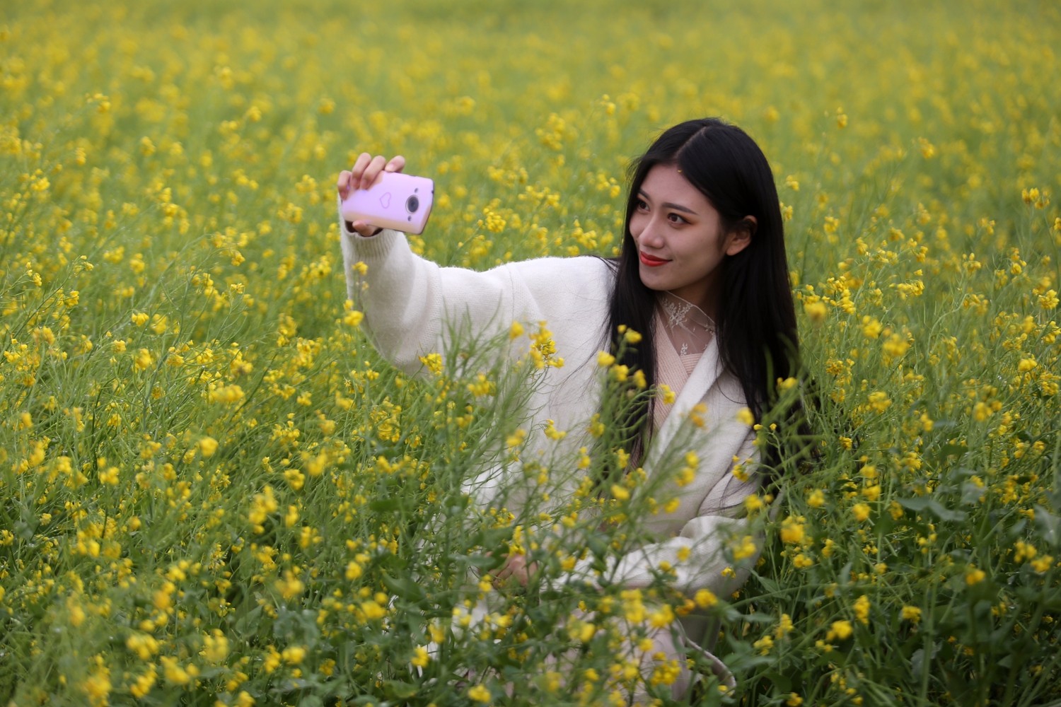 郑州:外籍美女着唐装油菜花地里拍照与花儿争艳