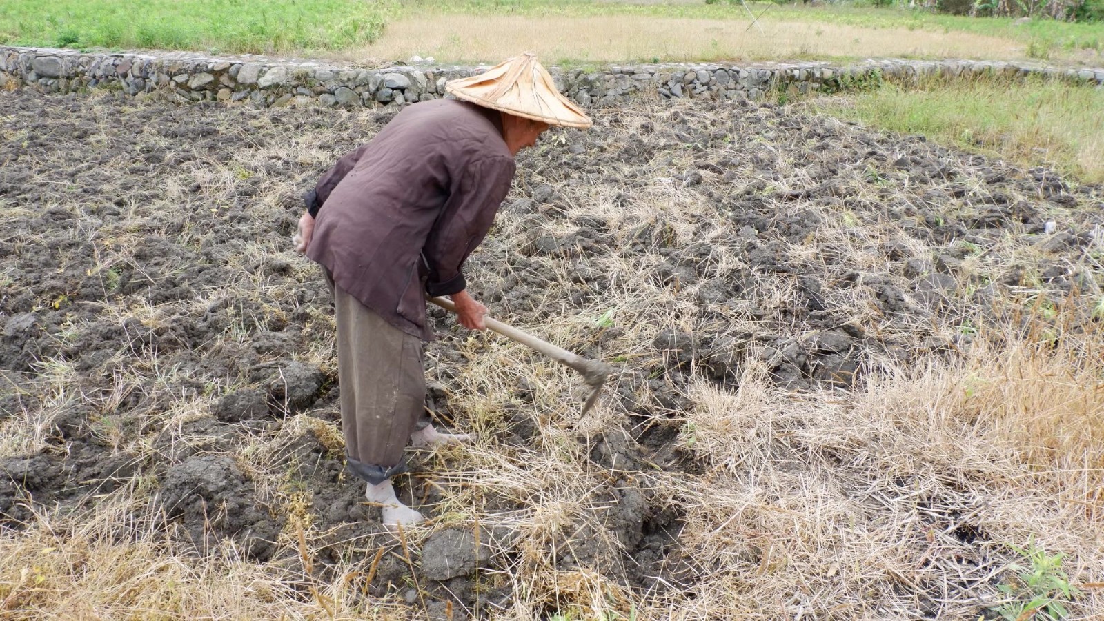 农村86岁老人干活比90后小伙麻利 这幅好身体是怎么练出来的