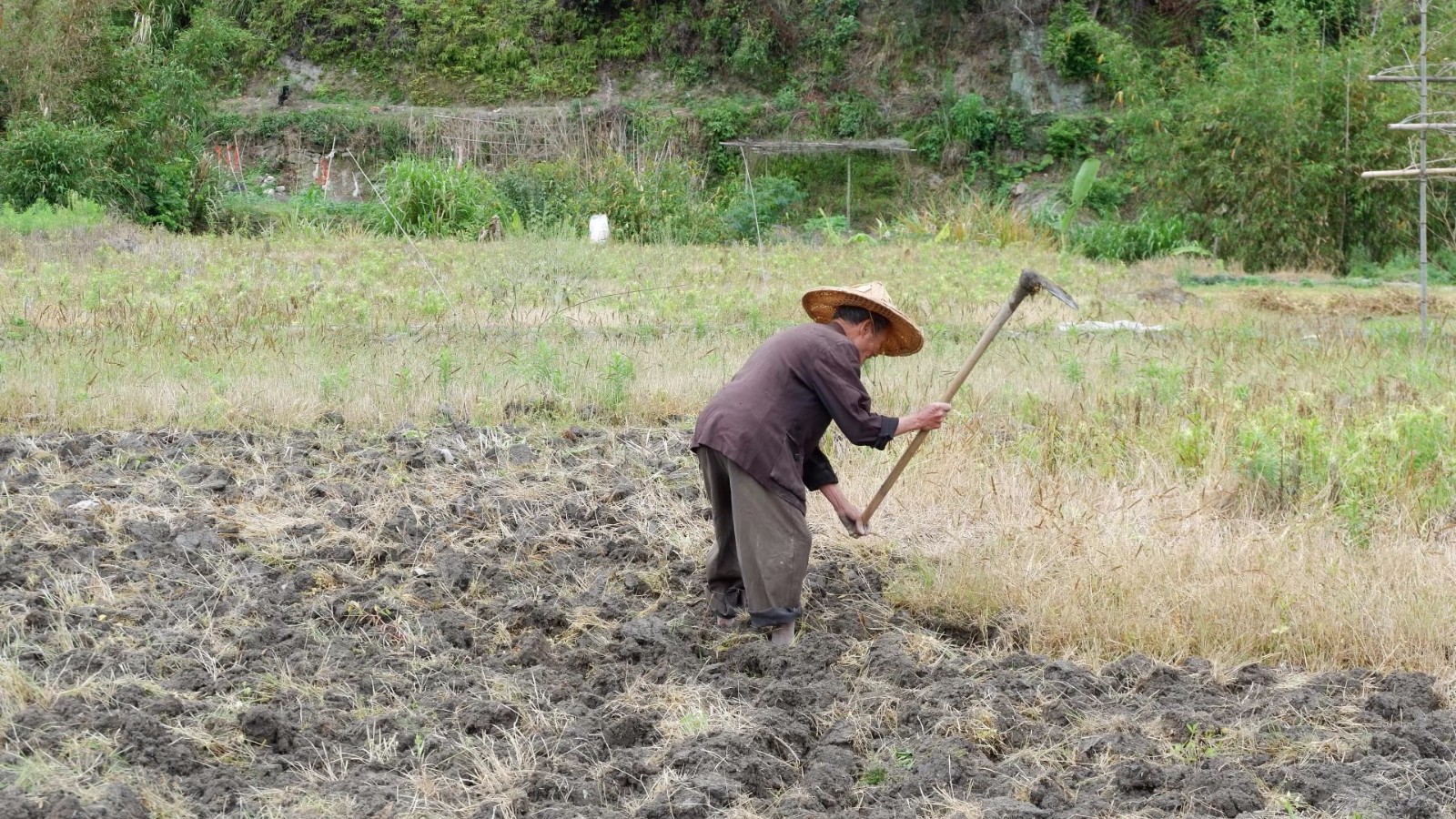 农村86岁老人干活比90后小伙麻利 这幅好身体是怎么练出来的