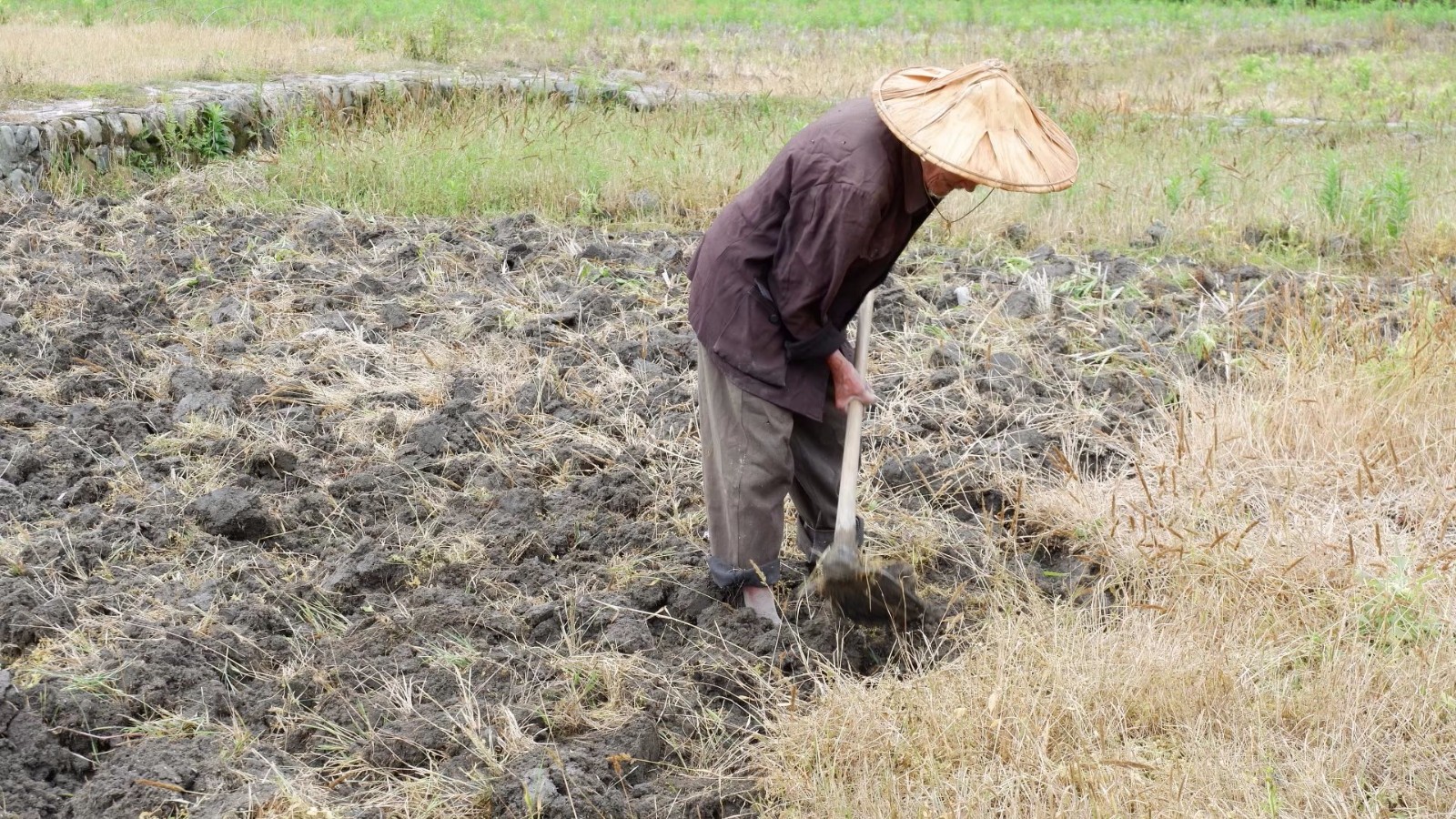 农村86岁老人干活比90后小伙麻利 这幅好身体是怎么练出来的