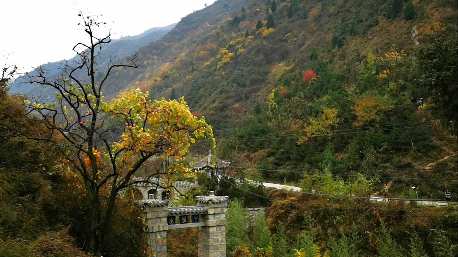 杨贵妃吃的荔枝就是经由这里运往长安,子午古道又称"荔枝古道"