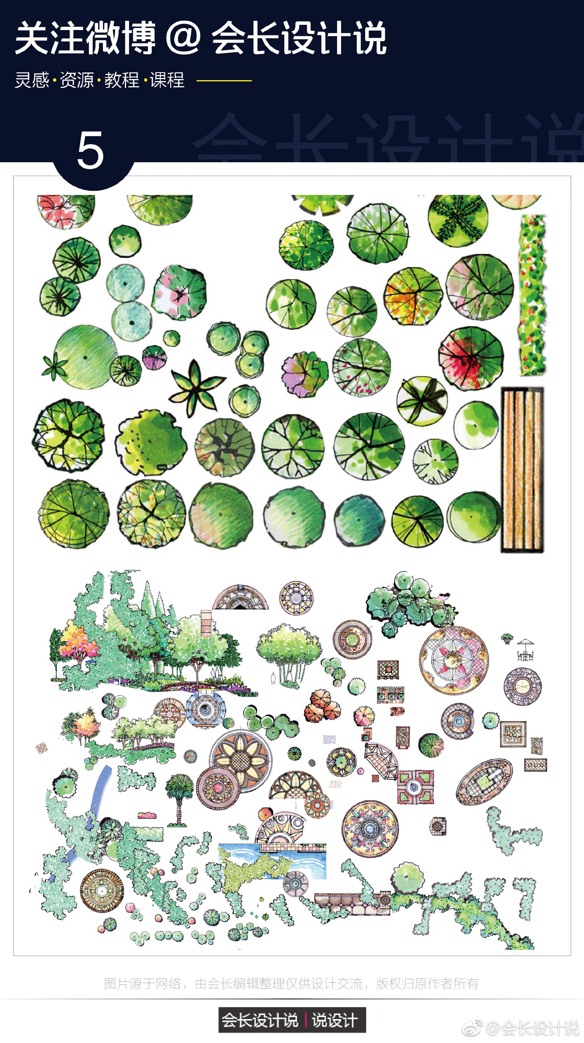 地被植物平面图例手绘图片