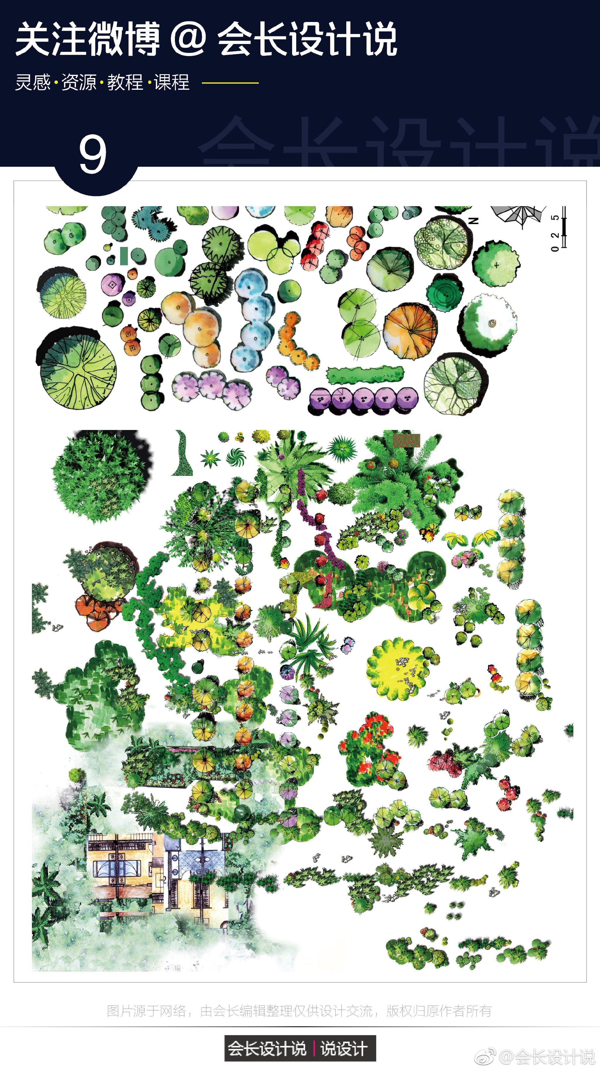 第41期|手绘|素材|植物_新浪新闻