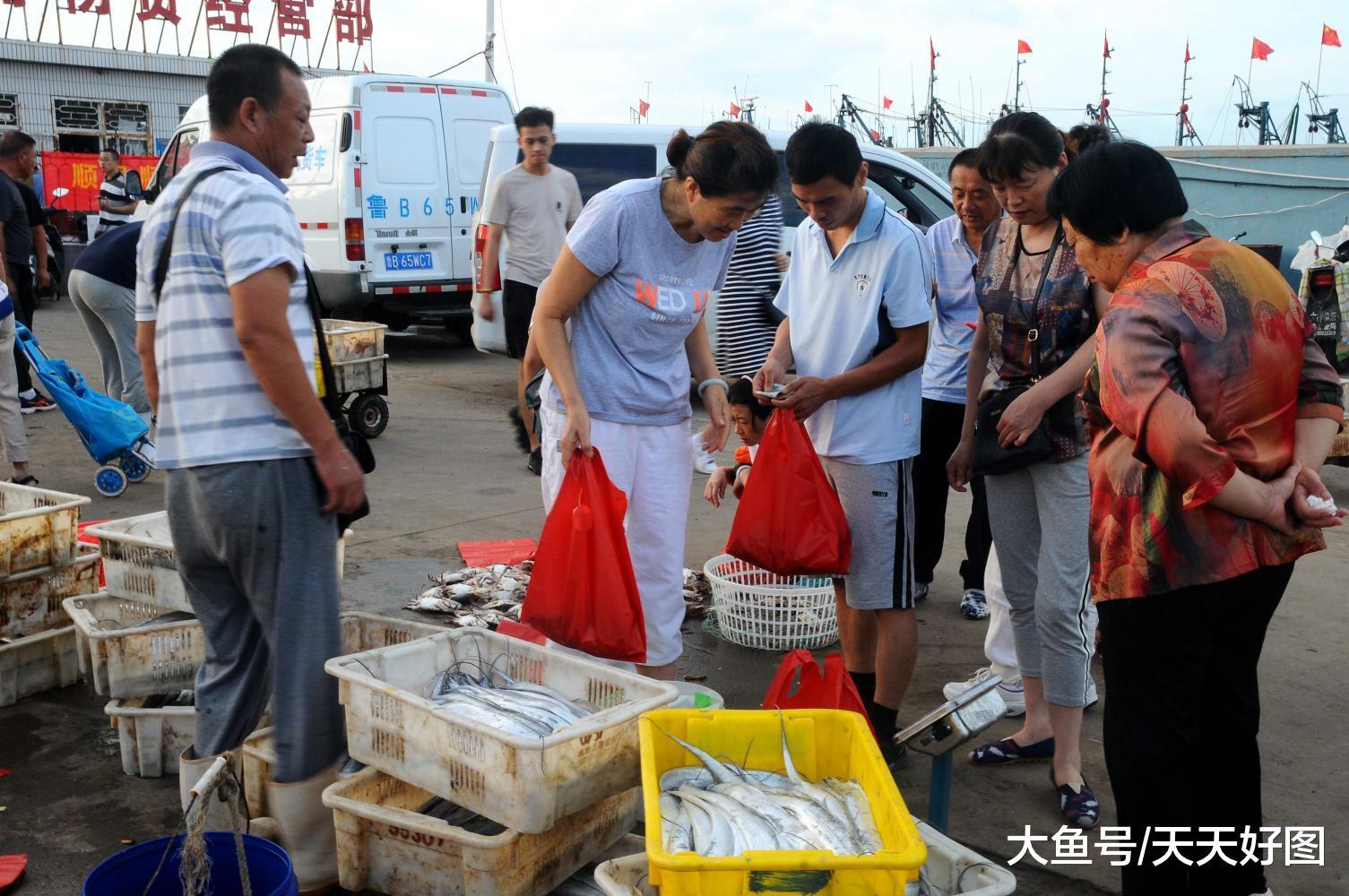 开海季 青岛市民扎堆渔港码头买海鲜 刀鱼10块一斤 鲳鱼15一斤