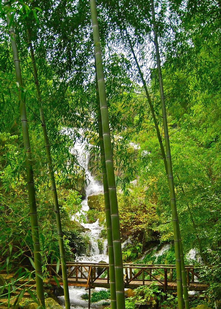 竹密无妨溪水过天高不碍白云飞