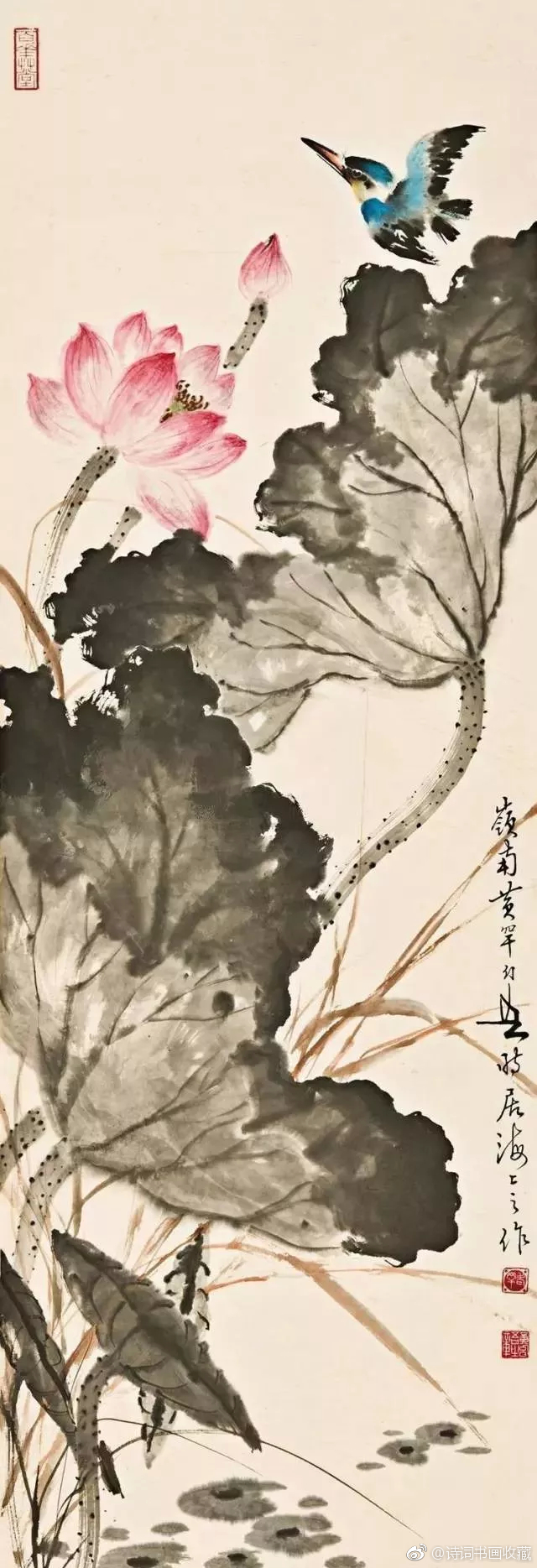 岭南名家黄幻吾笔下的荷花_新浪新闻