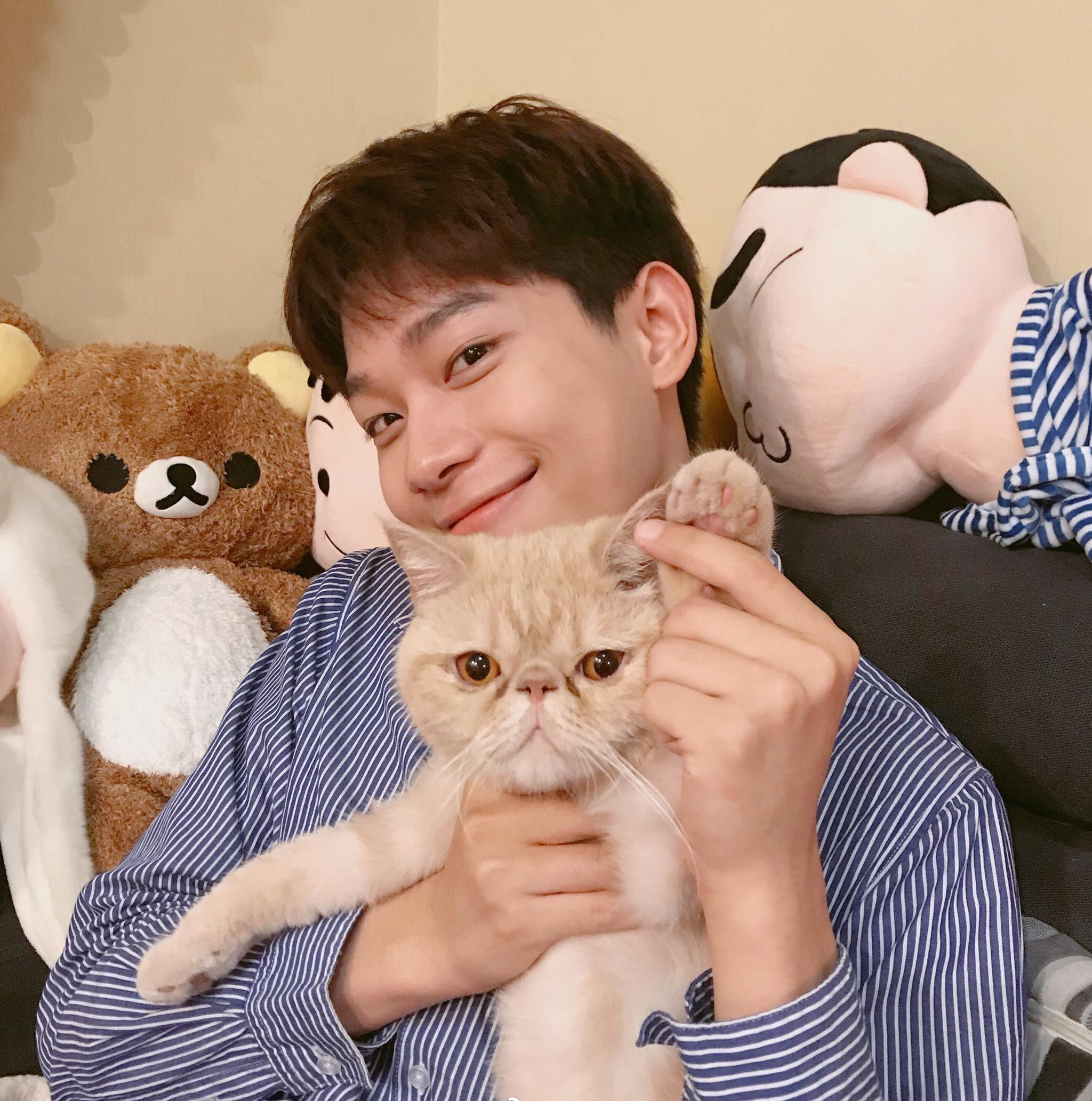 笑起来超甜的干净男孩 感觉他的笑容能治愈一切呢