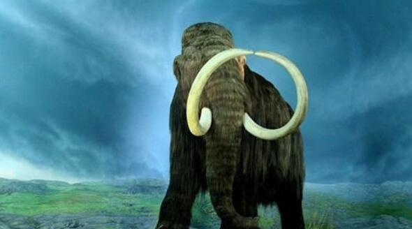 百科探秘: 比恐龙可怕的10种远古动物, 外形怪异实力强