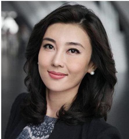 央视|李红|董卿_新浪新闻