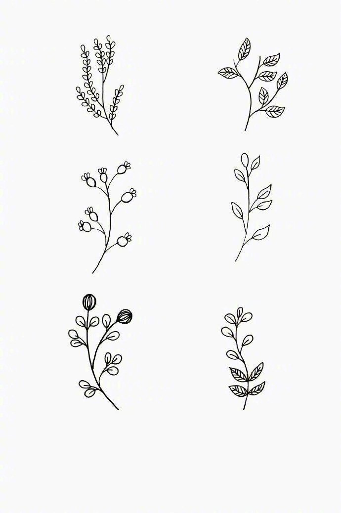 一组干净的叶子简笔画,快收藏吧