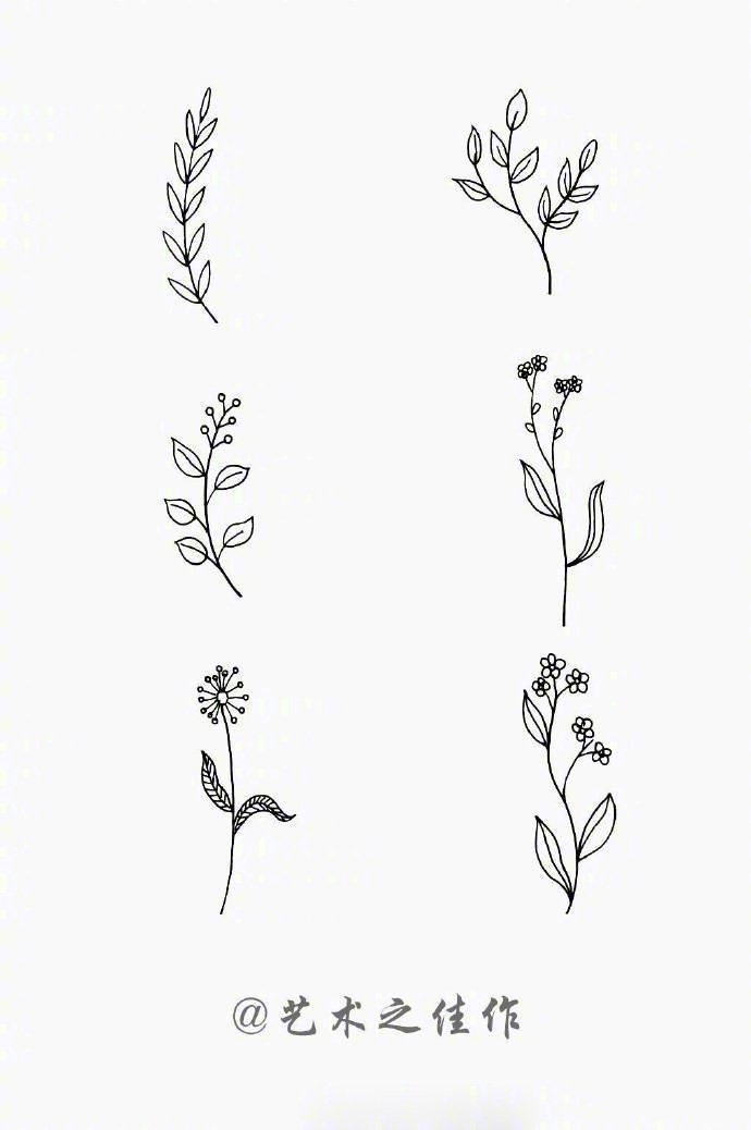 一组干净的叶子简笔画,快收藏吧