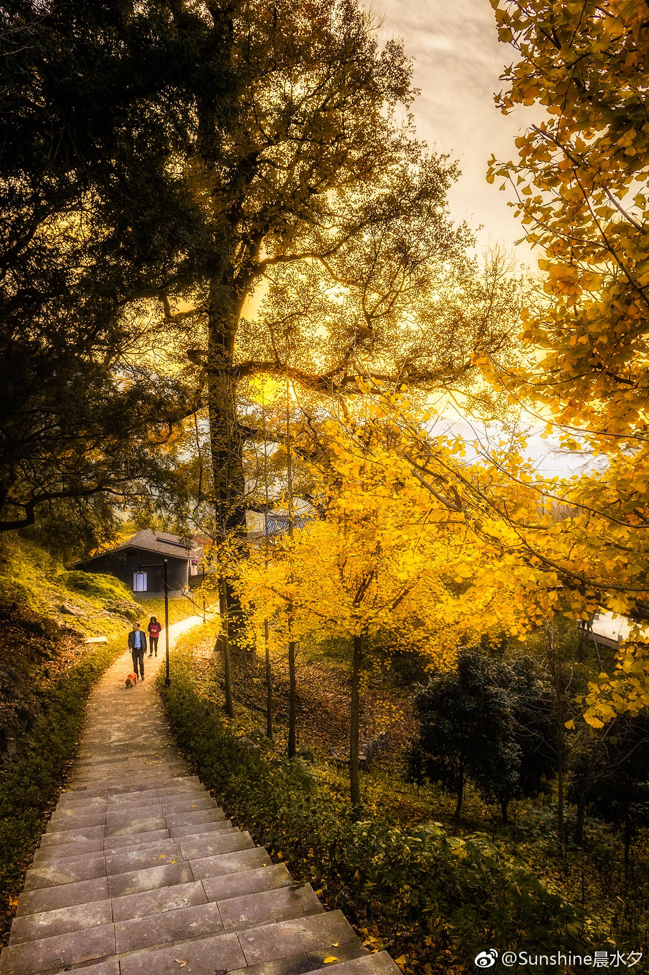 秋暮冬初叶落声声一觉醒如入仙境