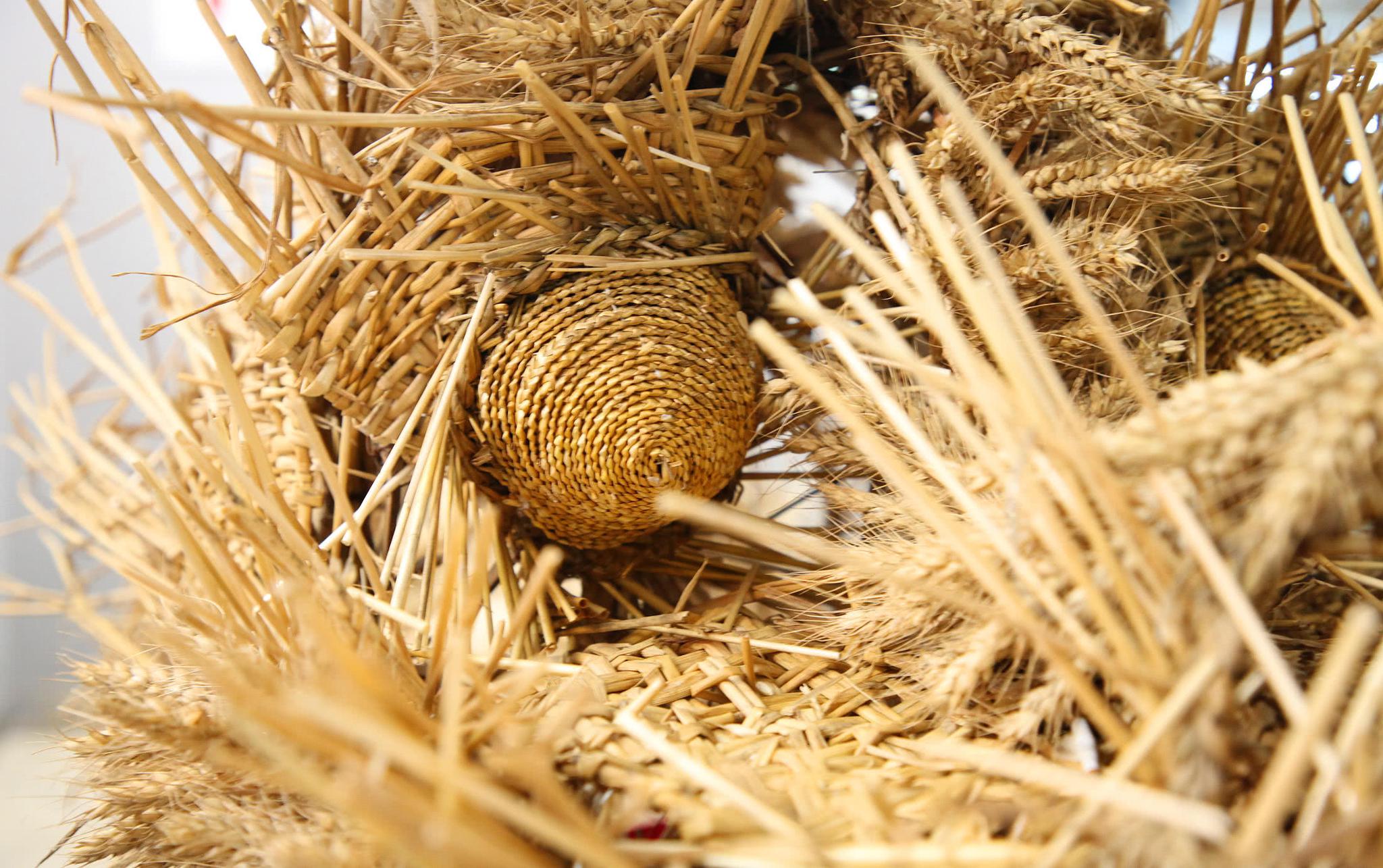 用麦秆,杂草,树皮等材料扎成龙的模样,舞龙人穿上用麻布等做成的简单
