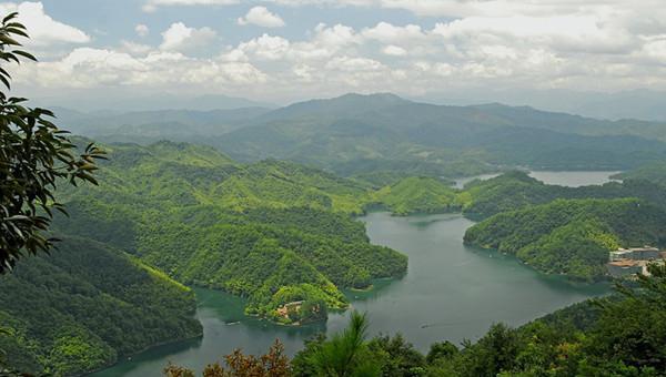 翠绿清澈阳明湖!一县一品公益助农,江西上犹特色农产品绿茶