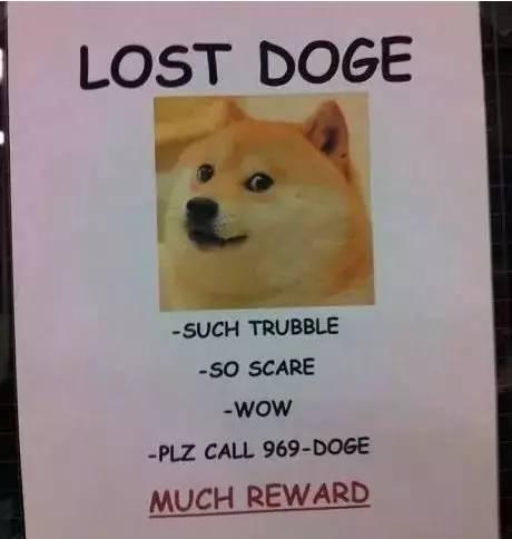 因为一张寻狗启示我被暴打了一顿