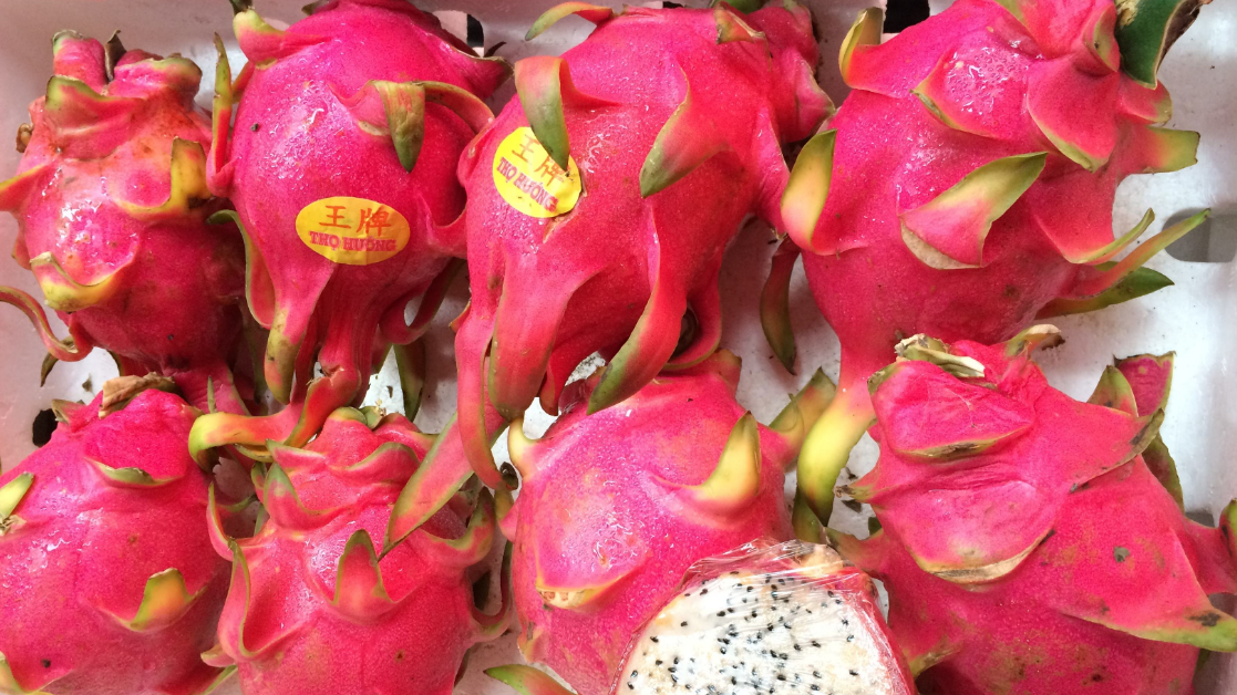 【海南蜜宝红心火龙果】季节又来了,京都一号