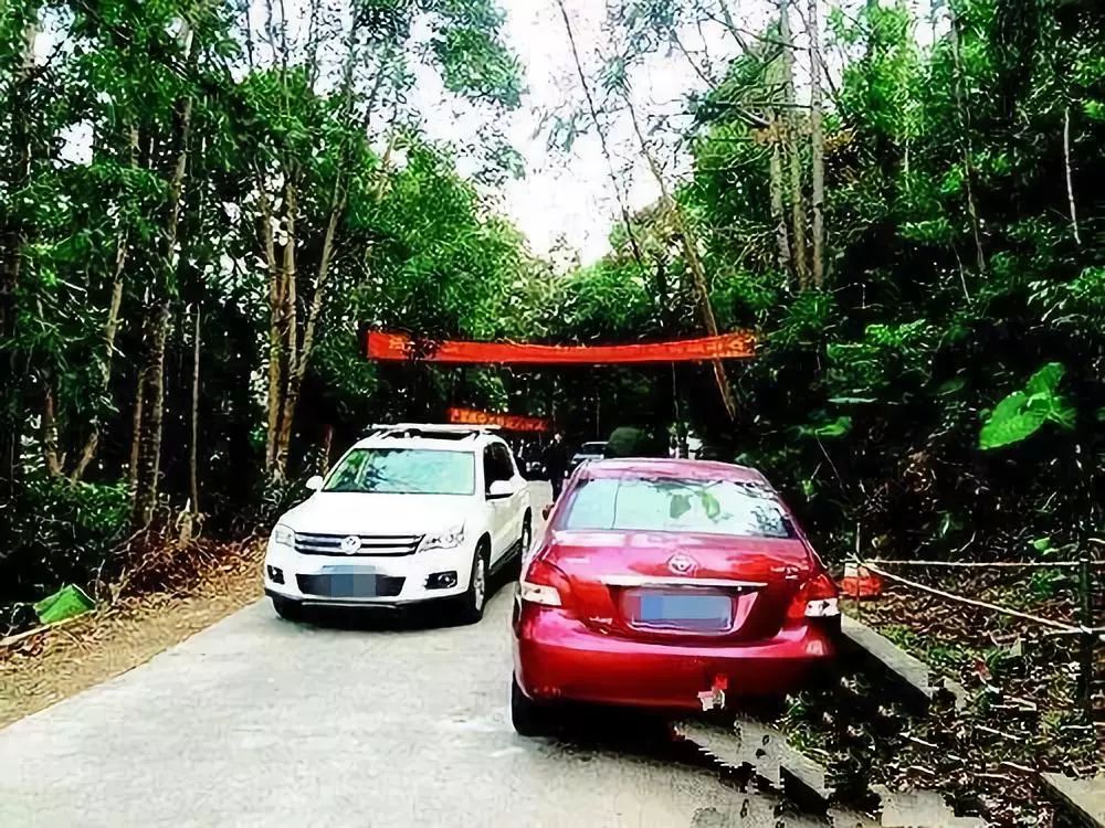 狭窄路段会车的潜规则还不懂,当心被别人牵着鼻子走!