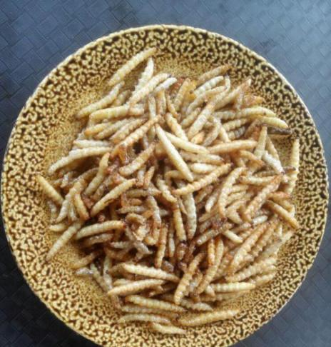 这样一个个的大白虫子,你敢下口吗?