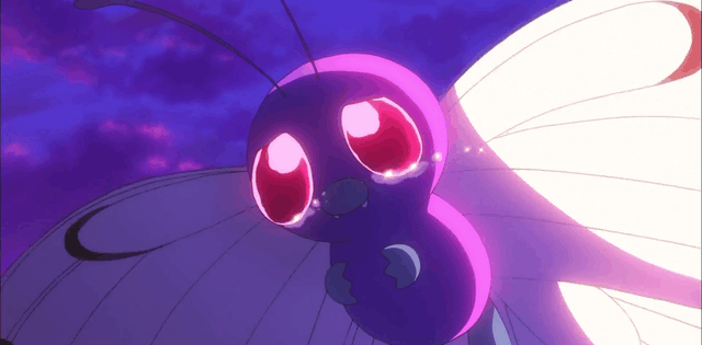 泪目20年后小智的巴大蝴再次跟着那只闪光神奇宝贝跑了