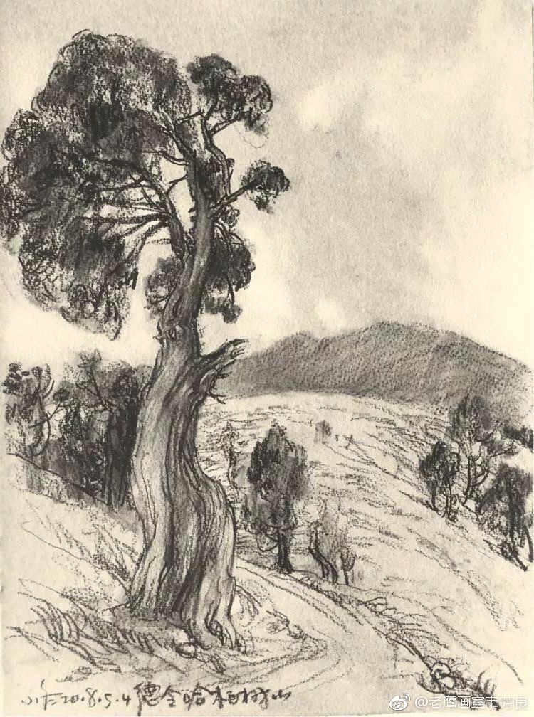 于小冬风景速写