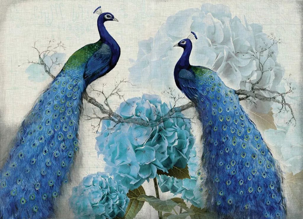 心理测试哪一对孔雀的感情最好测目前你继续单身的可能有多大