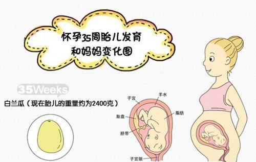 怀胎十月,这样记录胎宝宝每月的成长,过程神奇且美丽!