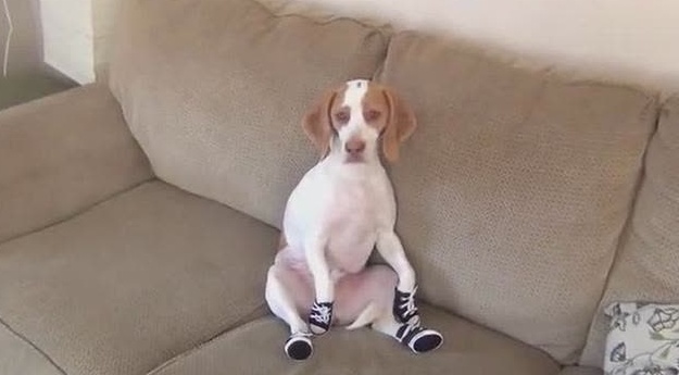 奇葩走路姿势笑死人