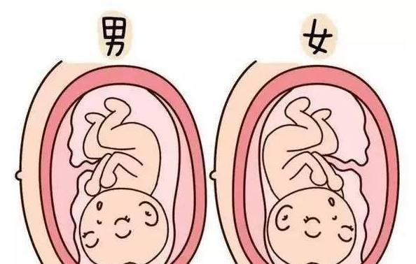 妊娠线偏左偏右示意图图片