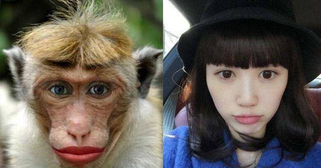 马蓉微博冒充父亲转移注意力, 王宝强微博晒猴脸暗讽马蓉?