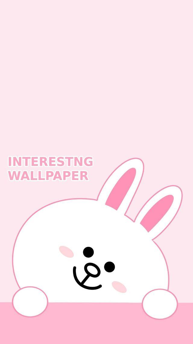 布朗熊和可妮兔可爱无水印壁纸来交个朋友吧