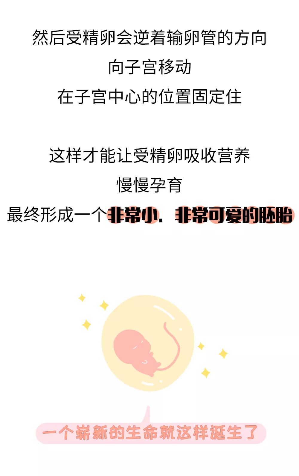 朋友,造人运动了解一下?