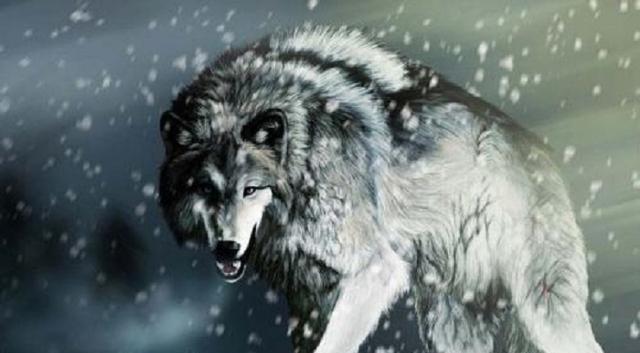 历史上有狼性的九个男人, 尤其是最后一个, 谁见了都得躲着!