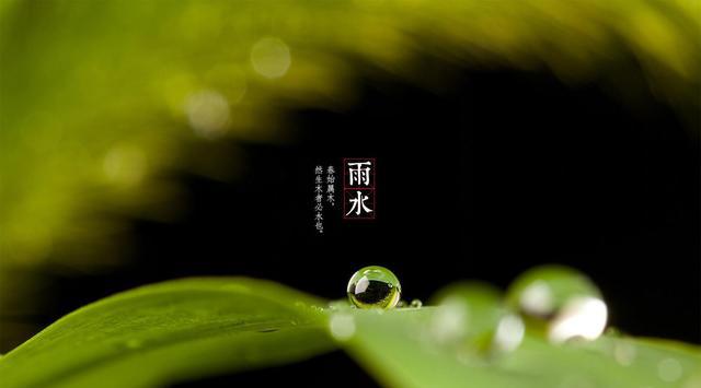 明日雨水,诗词大会中那些描写雨水的唐诗,就该这样写出春意!|韩愈|春夜喜雨|唐诗_新浪新闻
