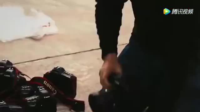 40台佳能相机同时拍摄一组照片,剪辑成视频效