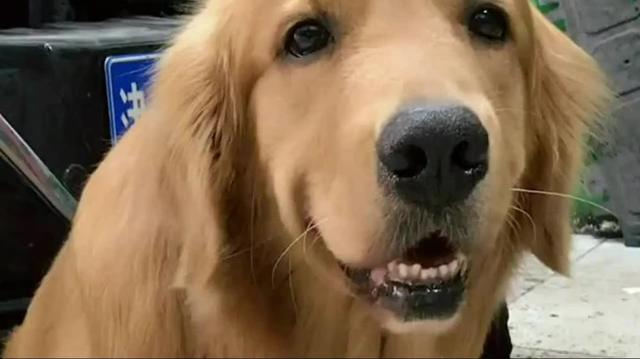 厉害啦,媳妇,差点被干死,18岁以下不准看